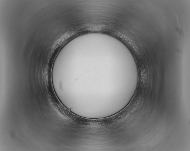 X0000112110682200909011146