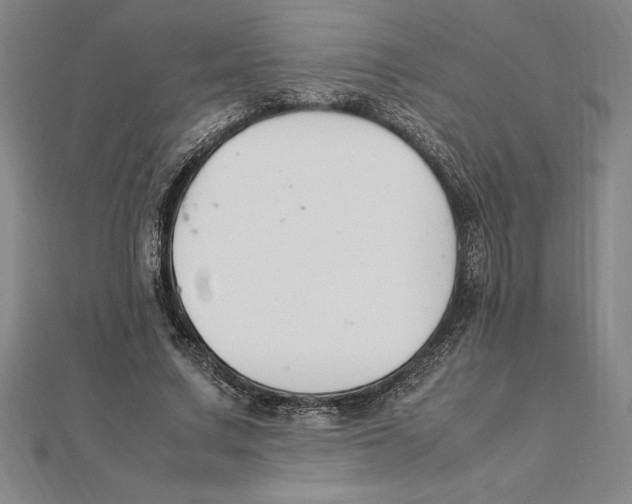X0000112110683200909011146