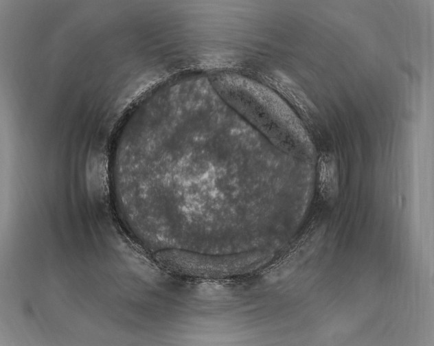 X0000112110684200909011146