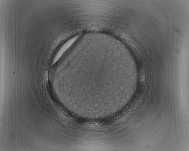 X0000112110685200909011146
