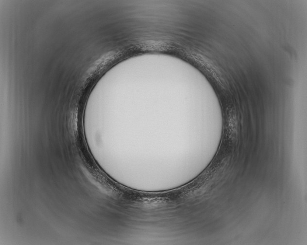 X0000112110686200909011146