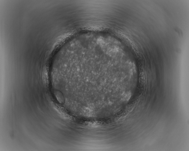 X0000112110688200909011146