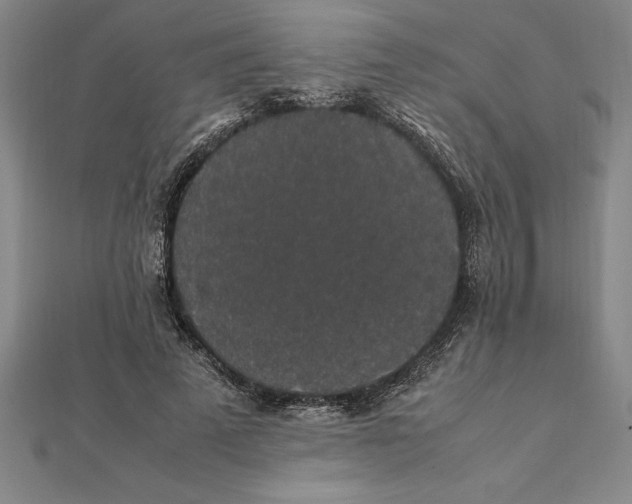 X0000112110689200909011146