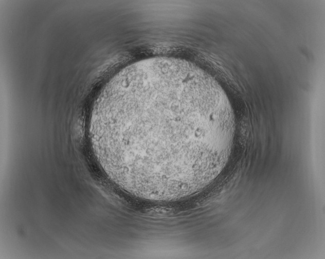 X0000112110691200909011146