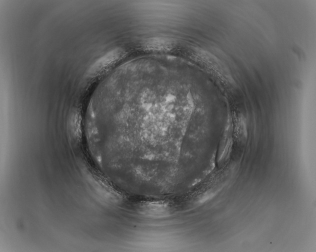 X0000112110692200909011146