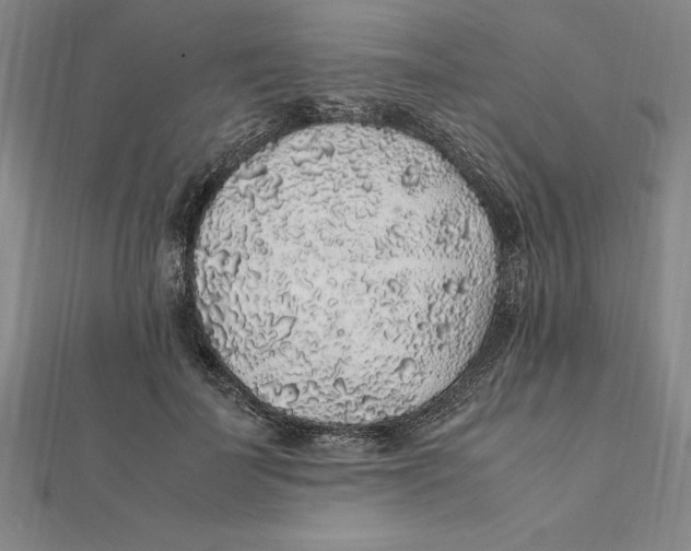 X0000112110699200909011146