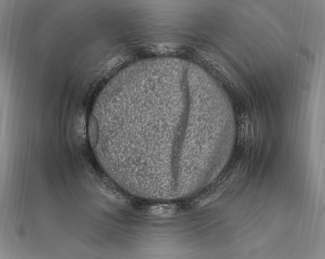 X0000112110700200909011146