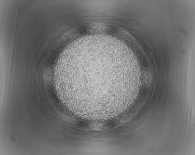 X0000112110701200909011146