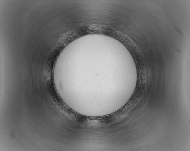 X0000112110706200909011146