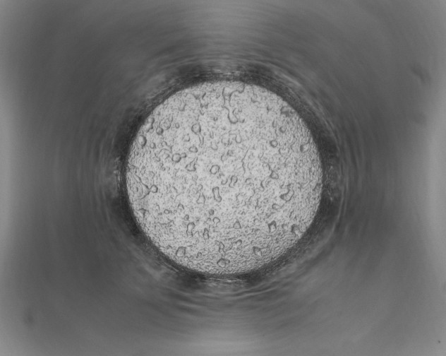 X0000112110707200909011146