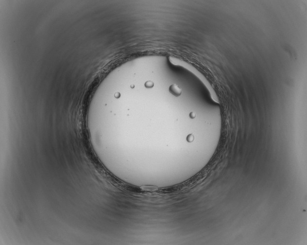 X0000112110708200909011146