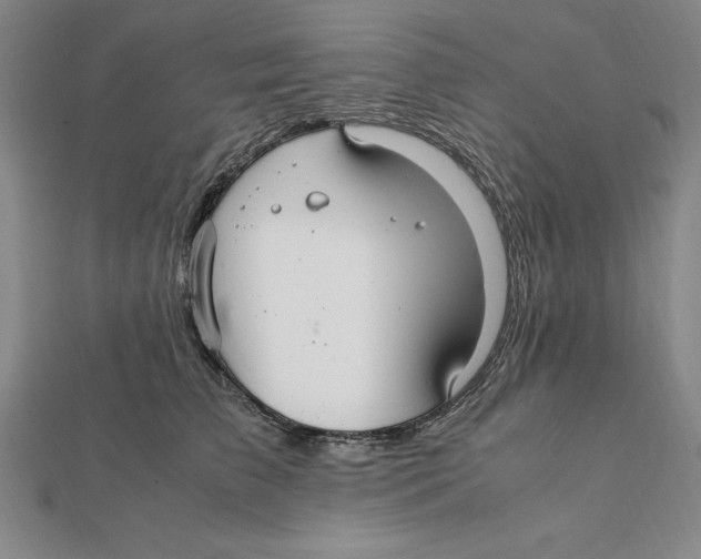 X0000112110709200909011146