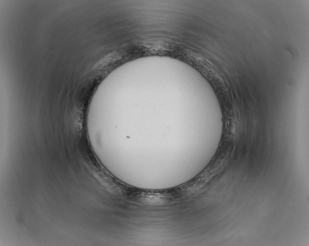 X0000112110710200909011146