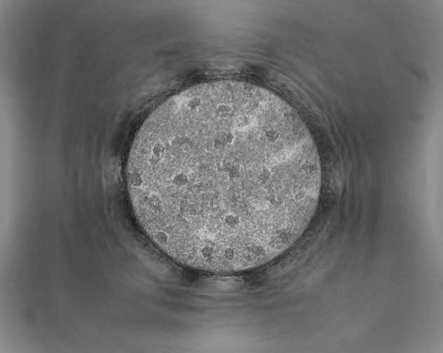 X0000112110711200909011146