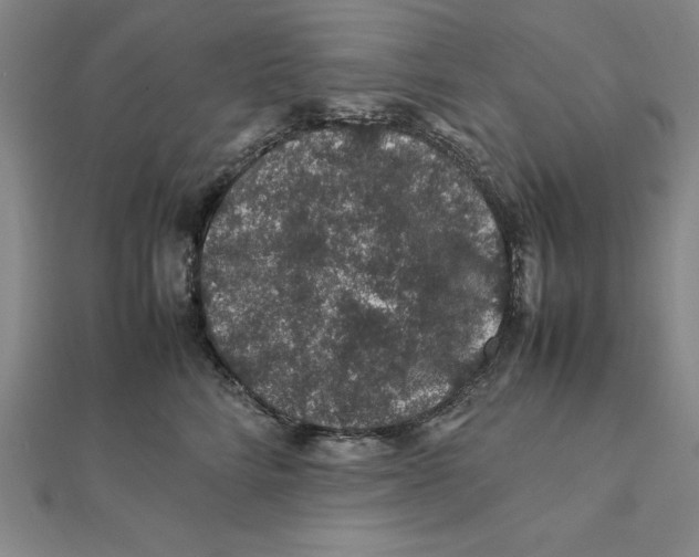 X0000112110712200909011146