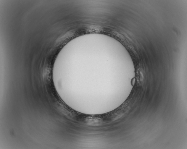 X0000112110714200909011146