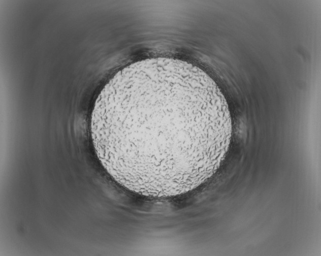 X0000112110715200909011146