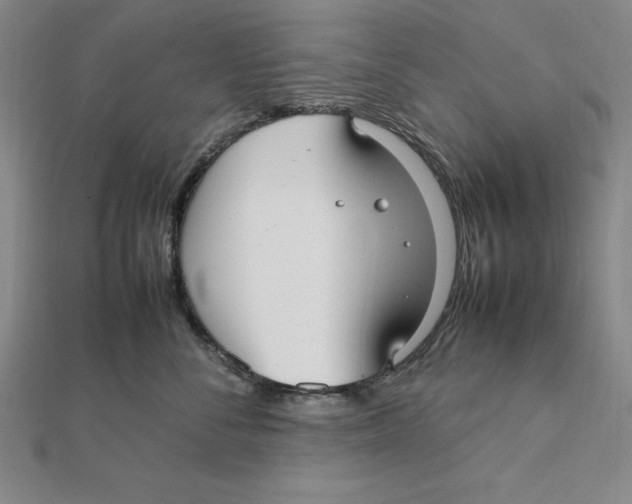 X0000112110716200909011146