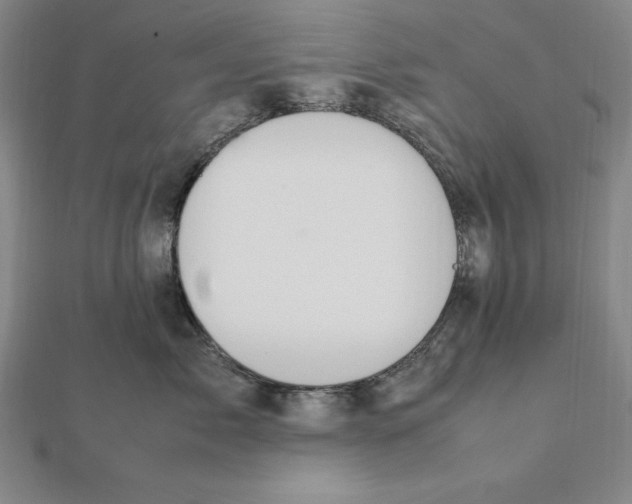 X0000112110717200909011146