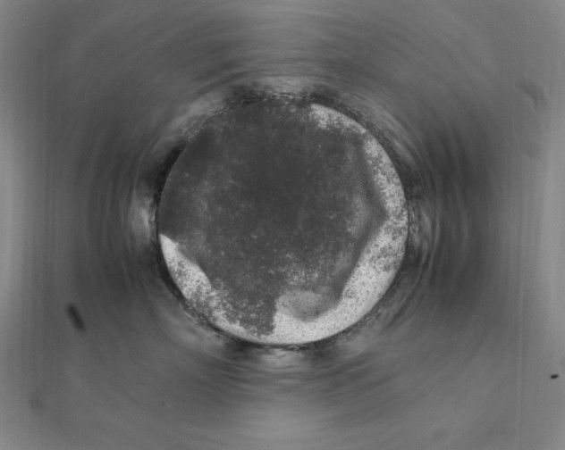 X0000112110718200909011146