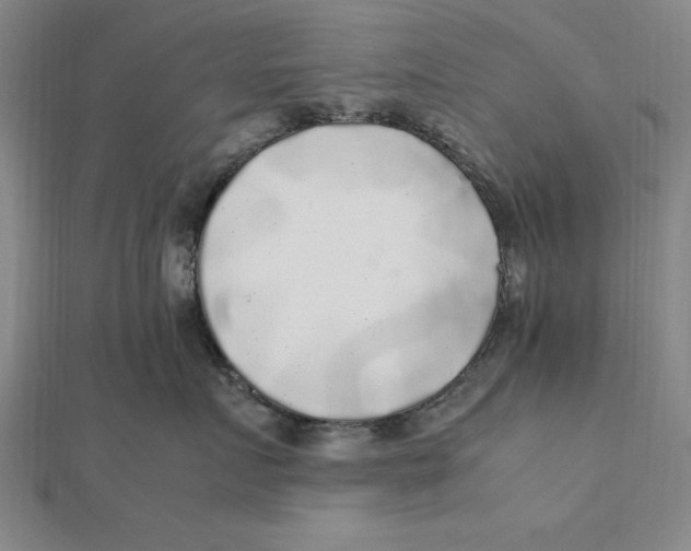 X0000112110719200909011146