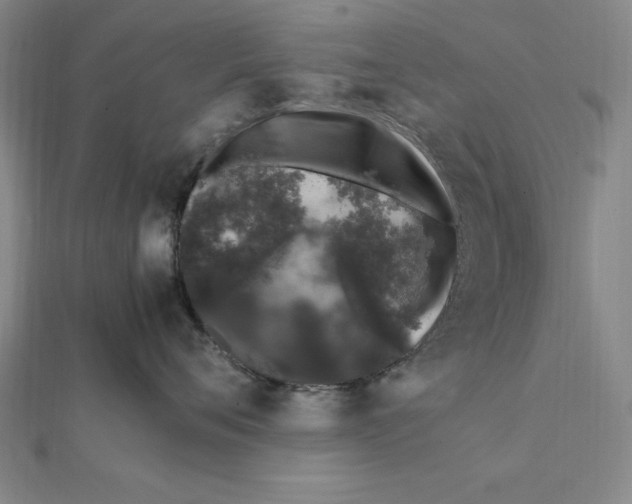 X0000112110720200909011146