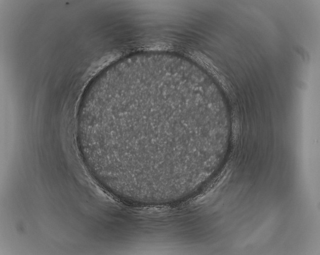 X0000112110721200909011145