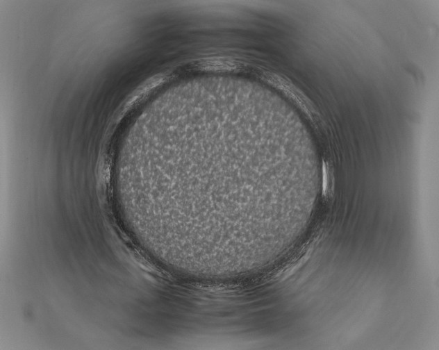 X0000112110723200909011145