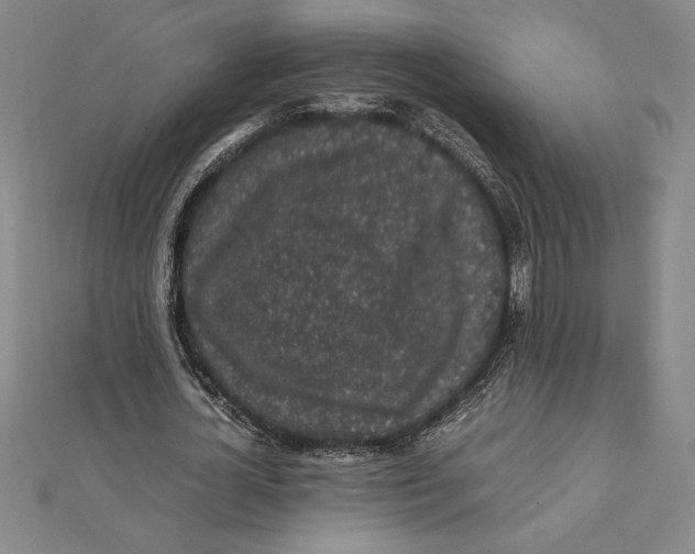 X0000112110724200909011145