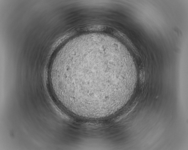 X0000112110725200909011145