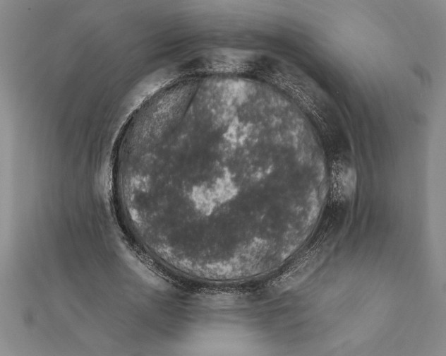 X0000112110726200909011145