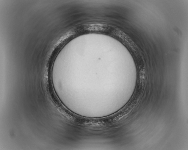 X0000112110727200909011145
