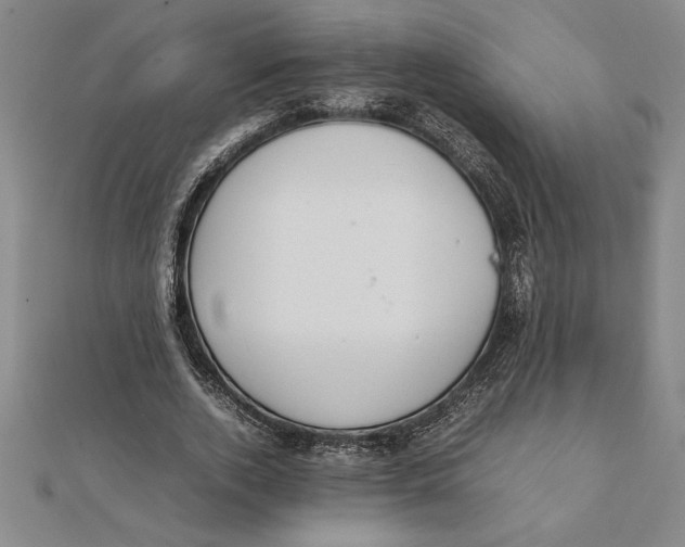 X0000112110728200909011145