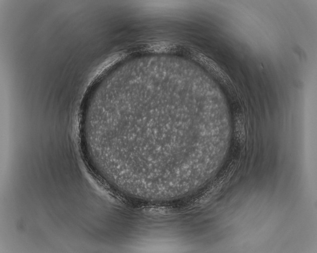 X0000112110730200909011145