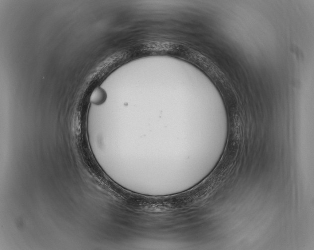 X0000112110731200909011145