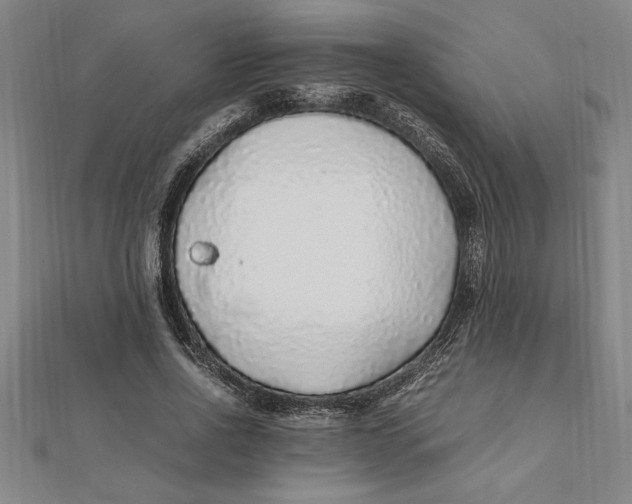 X0000112110734200909011145