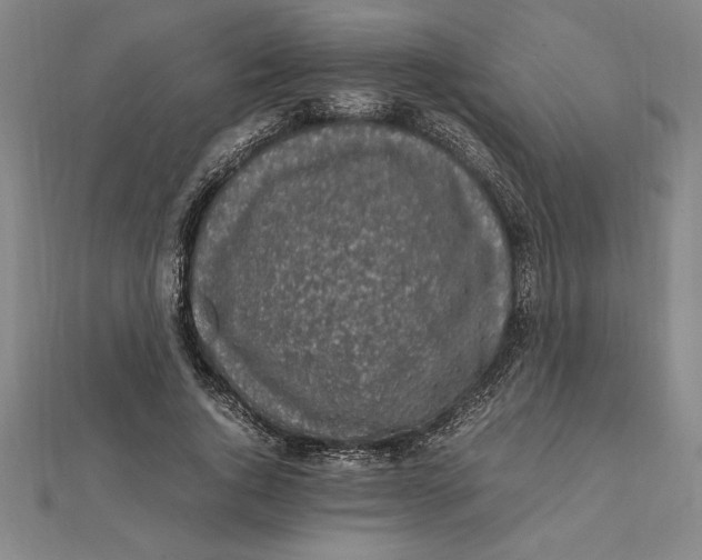 X0000112110736200909011145