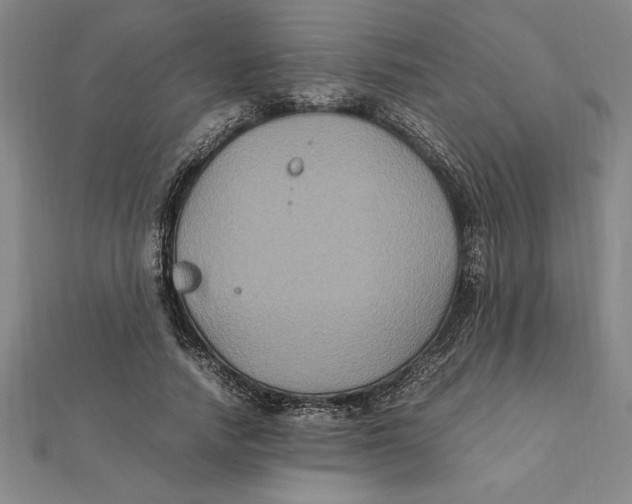 X0000112110738200909011145
