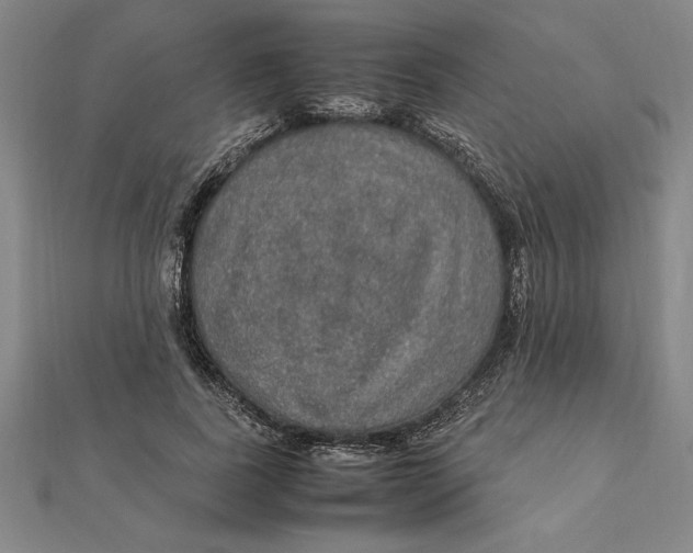 X0000112110739200909011145