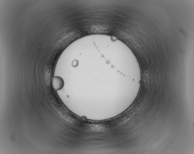 X0000112110741200909011145