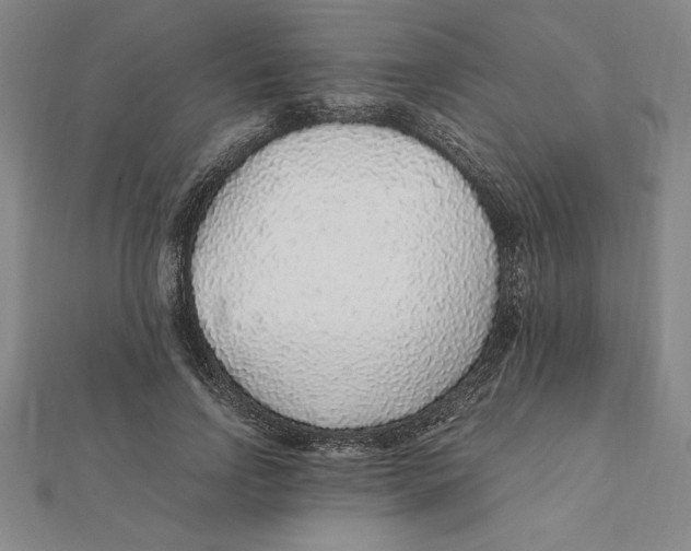 X0000112110742200909011145