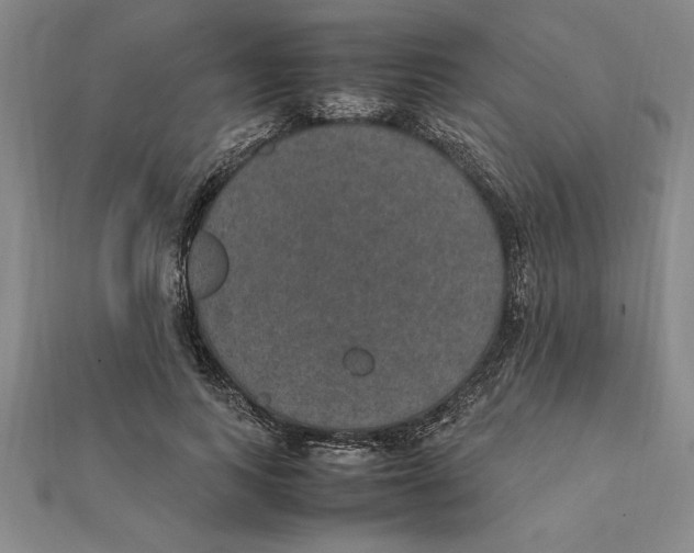 X0000112110743200909011145