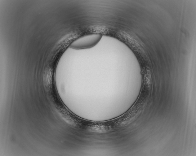 X0000112110744200909011145