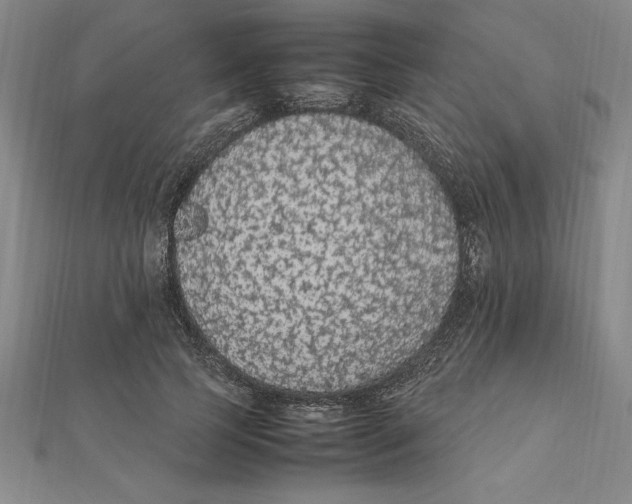 X0000112110745200909011145