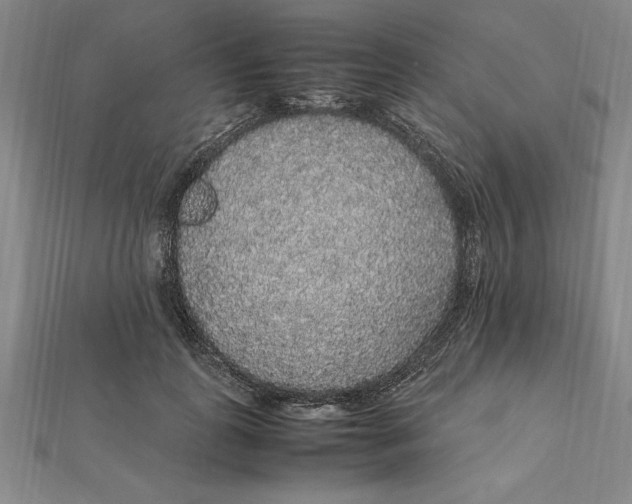 X0000112110747200909011145