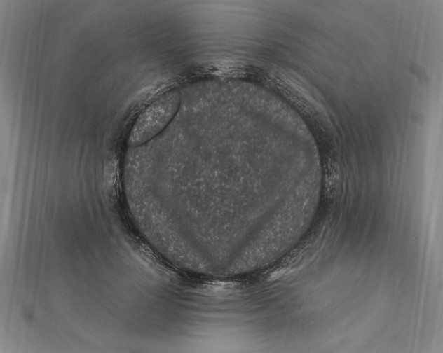 X0000112110748200909011145