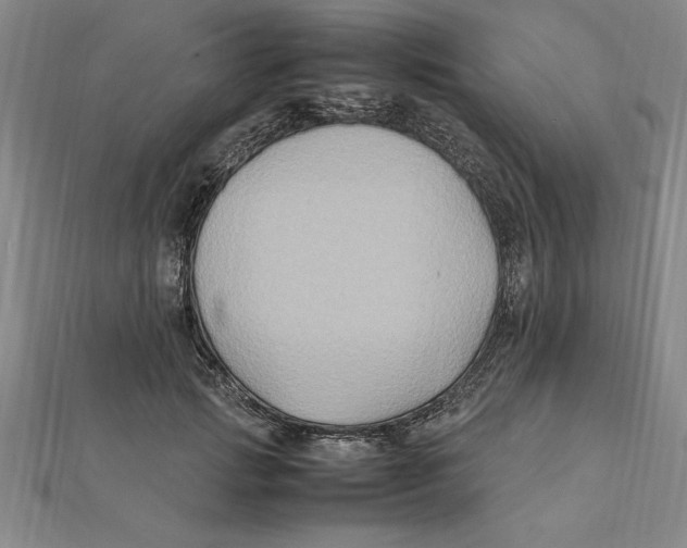 X0000112110749200909011145
