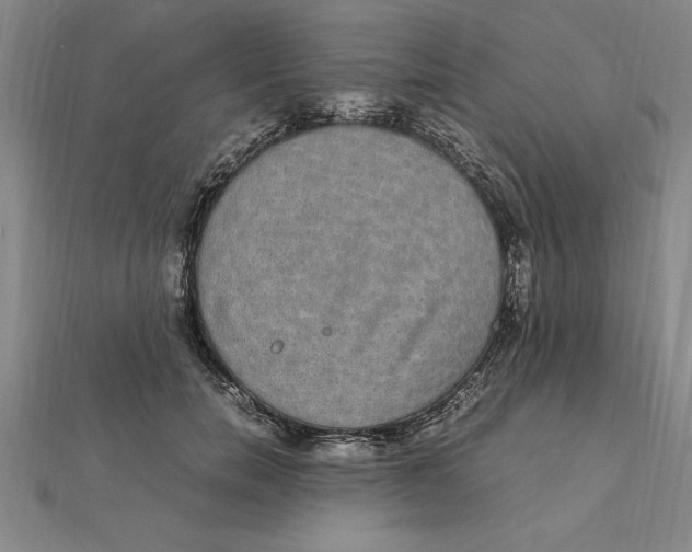 X0000112110750200909011145