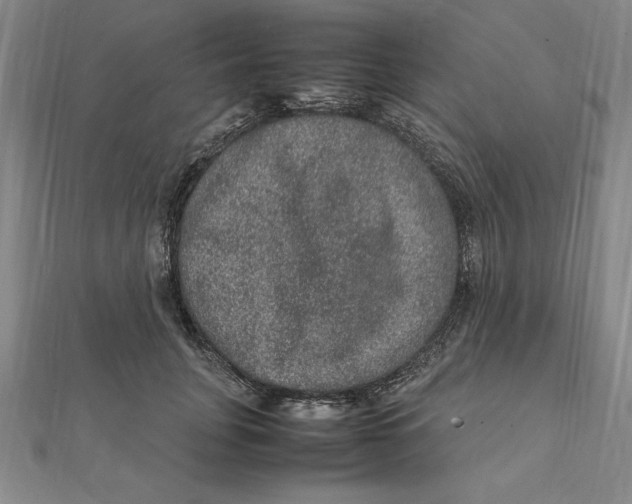 X0000112110751200909011145