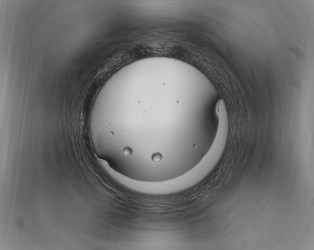 X0000112110752200909011145